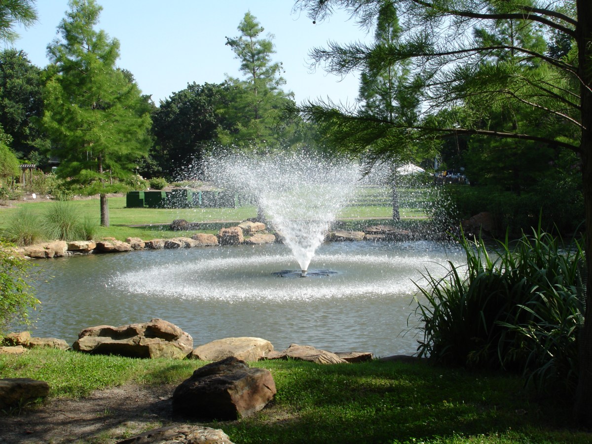 The Fountain of&nbsp;Youth