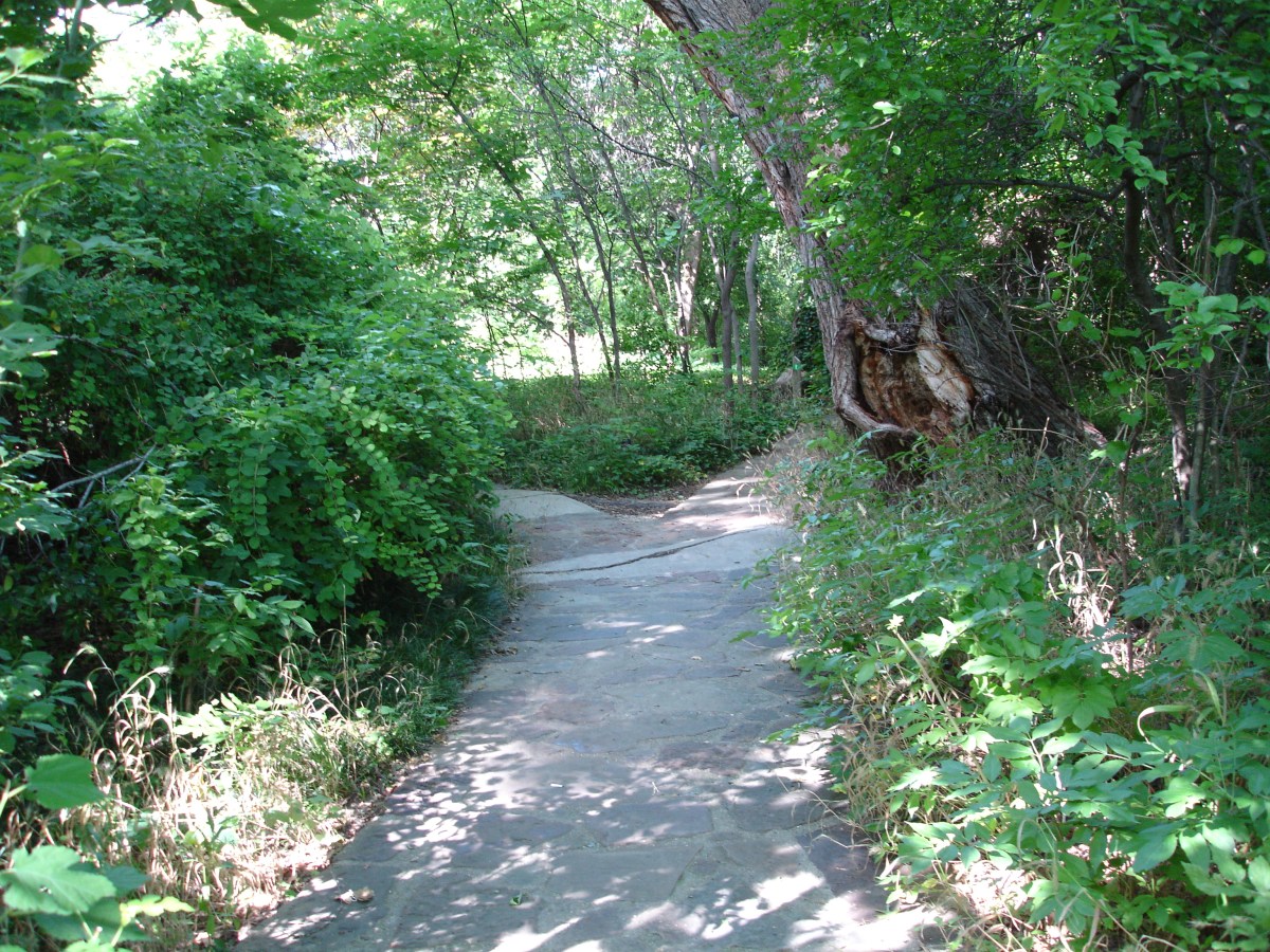 Why Racism, Bullying, and&nbsp;Hatred?